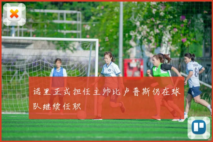 诺里正式担任主帅比卢普斯仍在球队继续任职