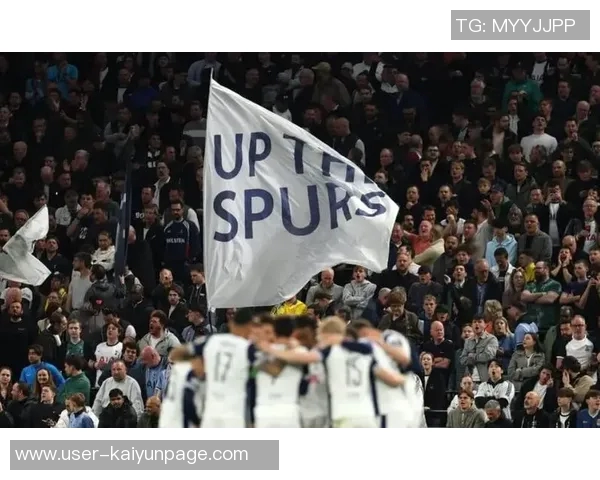 热刺俱乐部全力配合欧足联调查对做纳粹手势球迷实施无限期禁赛措施